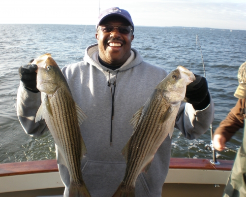 2 Striper Fish Caught on Boat