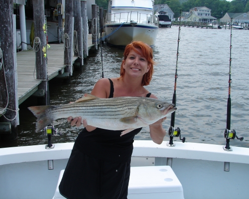 Catch Striper Fish from Fishing Charter